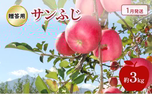 yXߓcz[5554-0236] y 1 z p Tӂ  3kg