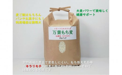 y挧szt̗s{Yutv2kg