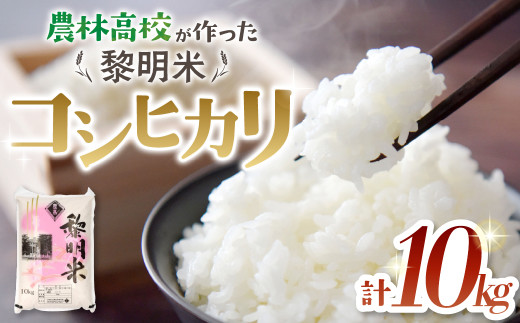 【山梨県甲斐市】【令和7年産】 コシヒカリ10kg 農林高校 黎明米 2025 令和7年 お米 こめ コメ コシヒカリ こしひかり 高校生 白米 精米 山梨県 山梨 甲斐市