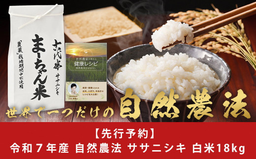 国内外の人気集結！ 先行予約 令和7年産米 ま〜ちゃん米 10kg 玄米 ササニシキ 新米 米・雑穀・粉類