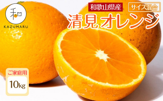 ya̎R쒬zƒp X{_̎I IW 10kg a̎RY TCY mkCEEzsnmRN39nm2026N2{5{\n