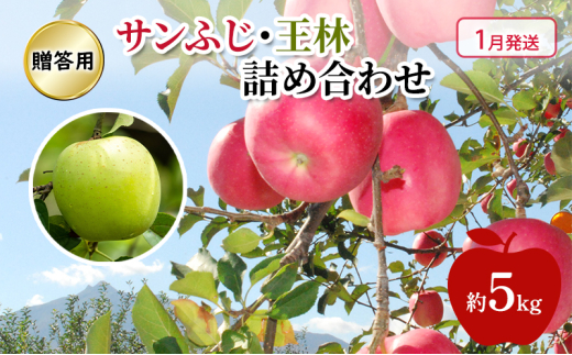 yXߓcz[5554-0228] y 1 z p Tӂ E  lߍ킹  5kg