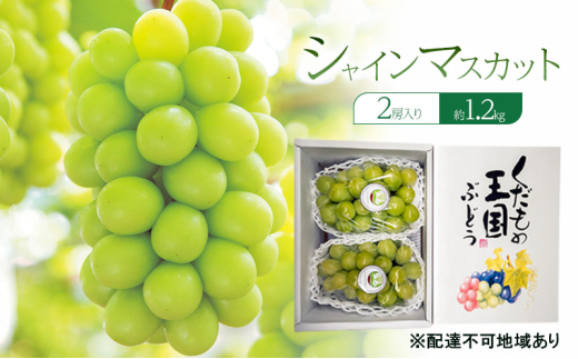 ぶどう 2026年 先行予約 シャインマスカット 2房入り 約1.2kg 岡山県