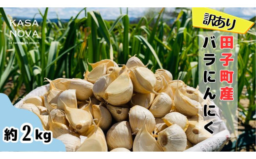 yXcqzy󂠂zcqYoɂɂwQkgx