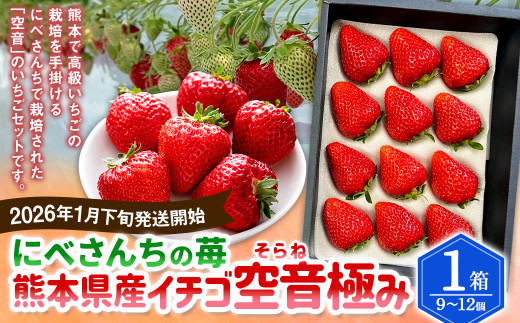にべさんちの苺 熊本県産イチゴ空音（そらね）極み【2026年1月下旬発送