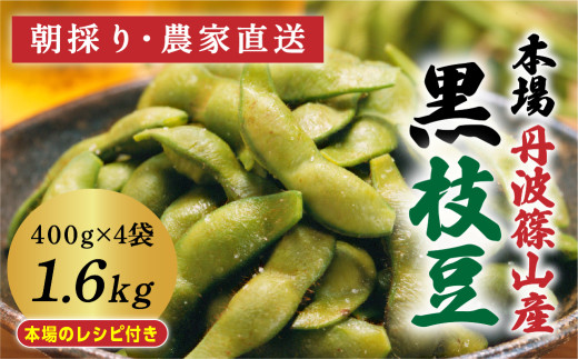 yɌOgRszy2026N10zߘa8Nx@OgR} ̂ 400gx4 1.6kgîEYnj@v~A} Ԍ } ܂ G_} 񂹃O 