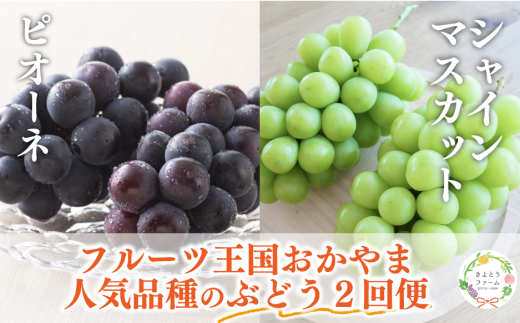 yR^szy2026Ns\zsI[lƃVC}XJbgATCYQ[̂QցI() (RY)yKF-T055-01z