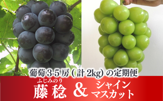 yR^szy2026Ns\z嗱Ԃǂ̒ ƃVC}XJbg̐lCiQkĝQ()(RY)yKF-T052-03z