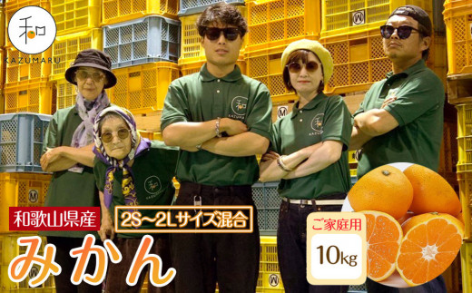 ya̎R쒬zƒp X{_̎I ݂ 10kg a̎RY 2S~2LTCY mkCEEzsnmRN31nm2025N11{珇n