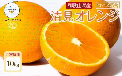 ya̎RߒqYzƒp X{_̎I IW 10kg a̎RY TCY mkCEEzsnmRN39nm2026N2{5{\n