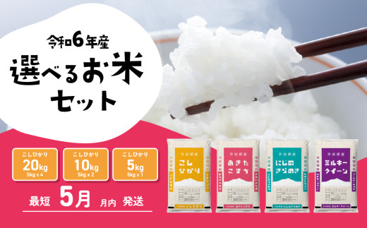 5月発送】コシヒカリ 10kg (5kgx2袋) 令和6年産 茨城県産