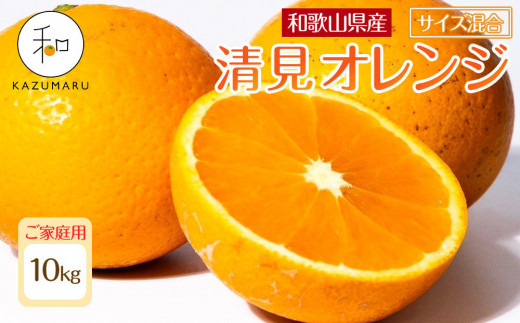 ya̎Rxczƒp X{_̎I IW 10kg a̎RY TCY mkCEEzsnmRN39nm2026N2{5{\n