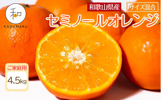 ya̎R쒬zƒp X{_̎I Z~m[IW 4.5kg a̎RY TCY mkCEEzsnmRN27nm2026N4{珇n