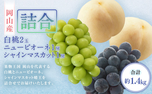 詰合／ 白桃 2玉（1玉220g以上）・ ニューピオーネ 1房（480g