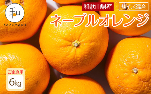 家庭用 森本農園の手選別ネーブルオレンジ 6kg 和歌山県産 サイズ混合