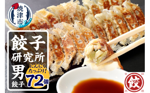 a11-148 餃子研究所 肉餃子×6パック - 静岡県焼津市｜ふるさと