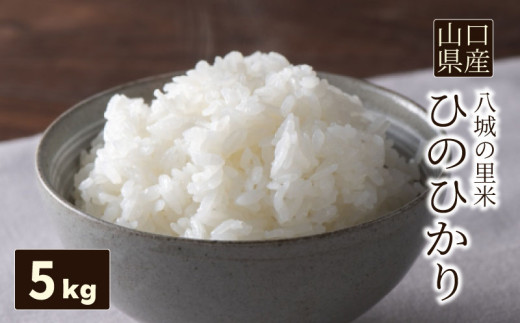 yR֎szy1񂨓͂zЂ̂Ђ  5kg