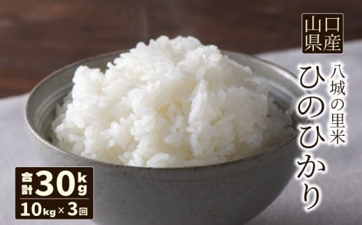 yR֎szy 3zЂ̂Ђ  10kg  v30kg ߘa7Nx