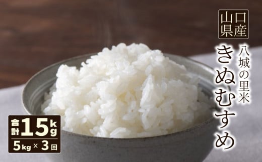 yR֎szy 3zʂނ  5kg v15kg