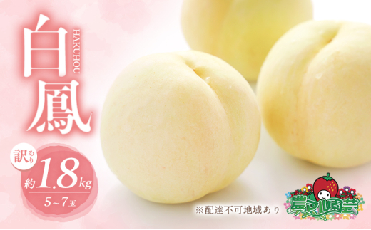 yRԔ֎sz 2026N s\ 󂠂i  P 1.8kg 5`7   t[c ʕ R Ԕ֎sY _}| _ Â ʓ lC
