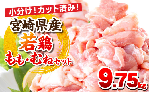 y{茧{szy2\z{茧Y{ Eނ˓Zbg 9.75kg_M146-017-02_feb