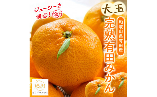 ya̎RxRz͖_ 嗱 Lc݂ 4kgms\nmʏ`ՂnmMS15n