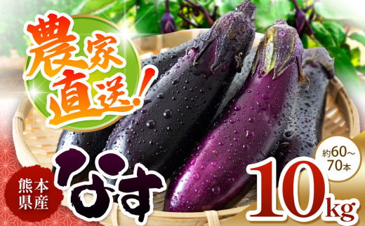 なす 約 10kg 和水町産 野菜 5月頃～発送いたします | 熊本県 熊本