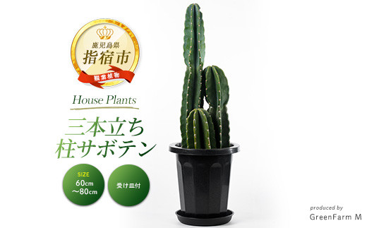 植物の本 3本セット sd1_f99f4deee0f4b2ee63ac956740