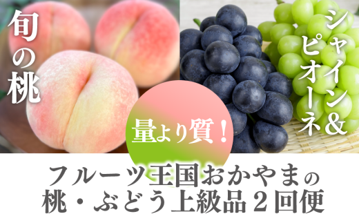 yR^szy2026Ns\zʂ莿I5-7ʂƃsI[lVC}XJbgQ[̏㋉i()(RY)yKF-T056-03z