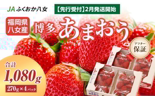 先行受付 2026年2月発送開始】博多あまおうG270g×4パック｜JA