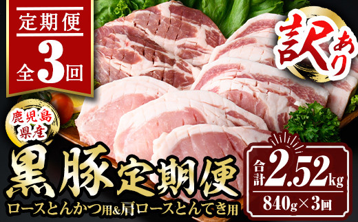 yɍszisa684 y3zq󂠂rؒ(v2.52kgE840g×S3)  ^ ^pbN gJc [X  geL  Ԃ ؓ AEghA Hה BBQ yTL