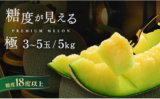 メロン めろん ＼糖度18度以上！／ 至高のアンデスメロン 【極