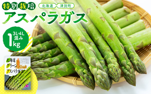 先行受付】R8年産 特別栽培アスパラガス 4L・3L混み 1kg Farm TAKADA