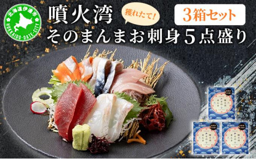 5525-1174]噴火湾そのまんま お刺身5点盛り(わさび・醤油付き)3箱 旬菜