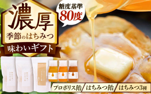 y򕌌QszZI G߂݂̂͂ Ղ薡킢Mtg Qs / x{I I  Zbg Y [AZCF004]