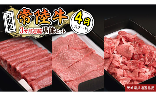 y錧΂݂炢szy  zy ߘa8N4X^[g zy S3 zw 헤 xlC3\Zbgi 3Ał͂ j    Ԑg ؂藎Ƃ јa a Y