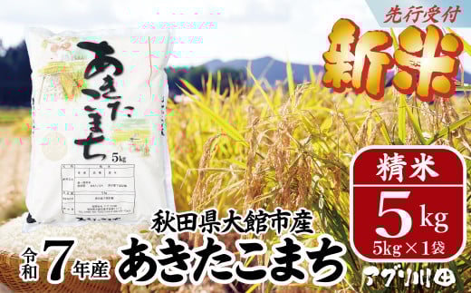 【秋田県大館市】新米!【令和7年産】ホタルが舞う清らかな環境で育った「あきたこまち」5kg(5kg×1袋) 75P3002 / 米 こめ コメ 精米 白米 4kg 2kg 2袋 小分け あきたこまち 弁当 おにぎり 秋田 東
