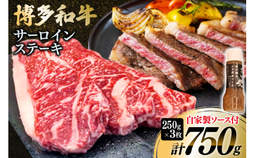 y}sz a T[CXe[L 250g 3 v750g [Ђ  }s 21761082] T[C Xe[L a Xe[L