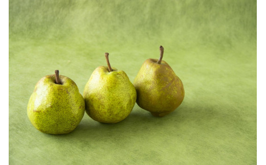 【山形県中山町】【2025年発送】果実の女王★小玉ラ・フランス  約5kg(24〜28玉)秀