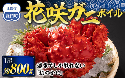 ykCPzԍKj {C 800g O 1 ɖX Jj I kCY CY   CN 芪 i  VN CN  Y x 