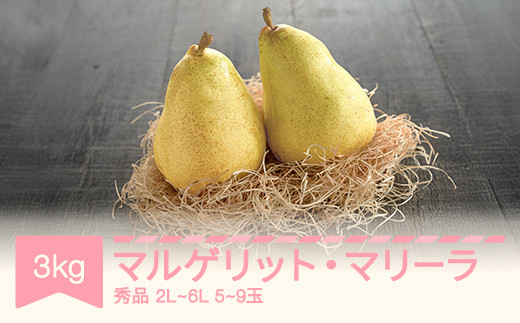 先行予約】マルゲリット・マリーラ 2L-6L 秀品 3kg 洋梨 西洋梨 令和7