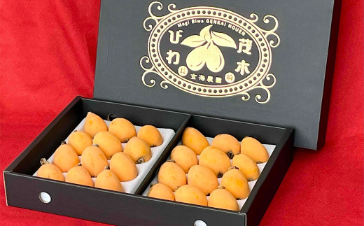 長崎特産味が自慢の茂木びわ 約4キロ入りです 長崎 茂木びわ 『茂木』 Lサイズ 24個 x1箱 【2025年5月下旬～6