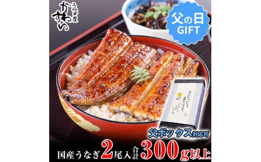 国産うなぎ蒲焼き大サイズ2本セット(A247-1) - 和歌山県有田市 国産うなぎ蒲焼き大サイズ2本セット(A247-1) - 和歌山県有田市