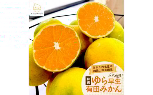 ya̎R쒬zss\E2026N10`tI 瑁Lc݂ RkgmTCYnmMS24n