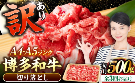 yLOszyS3ցzy󂠂zyA4?A5Nza ؂藎Ƃ 500gsLOstyЖؑHizY јa  Ⴊ [VDZ045]