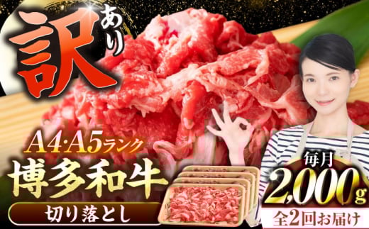 yLOszyS2ցzy󂠂zyA4?A5Nza  ؂藎Ƃ 2.0kgi500g×Sj sLOstyЖؑHiz Y J[ Ⴊ [VDZ148]