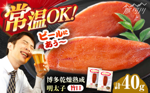 y߉ϐsznqi|jʎВc@ln揤Ђӂ邳ہ ߉ϐs [GBX223]