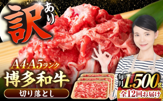 yLOszyS12ցzy󂠂zyA4?A5Nza ؂藎Ƃ 1.5kgi500g×3jsLOstyЖؑHizY јa  Ⴊ [VDZ051]