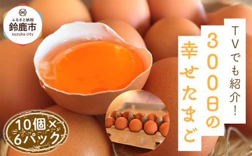 yOd鎭szTVłЉI鎭śu300̍K܂v 10×6pbN