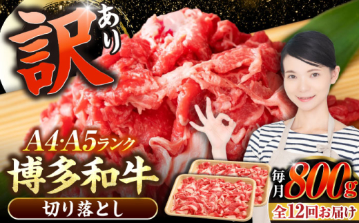 yLOszyS12ցzy󂠂zyA4?A5Nza  ؂藎Ƃ 800gi400g×2jsLOstyЖؑHiz Y J[ Ⴊ [VDZ155]